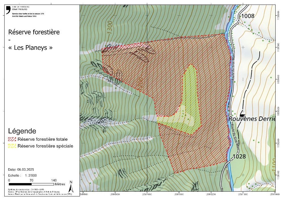 Plan de périmètre établi le 06.03.2025 par le SFN